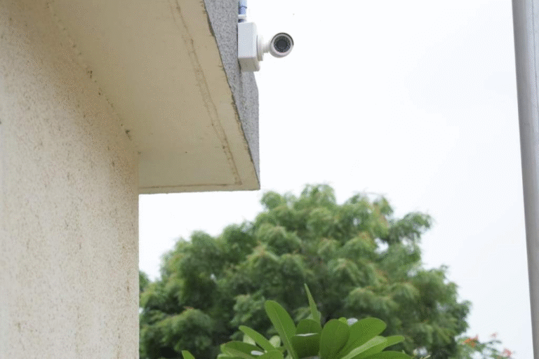 motion detection camera